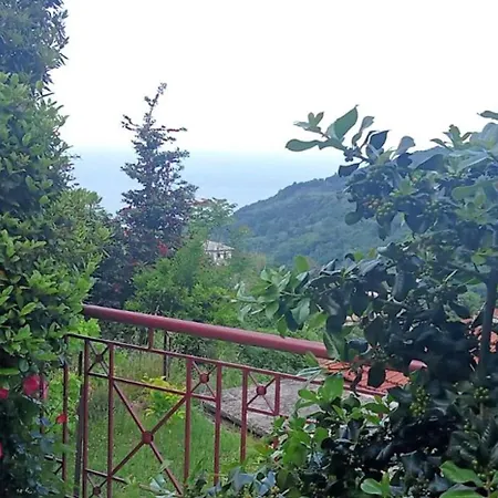 Anastasia'S Cottage In Pelion Makrirrakhi Exterior photo